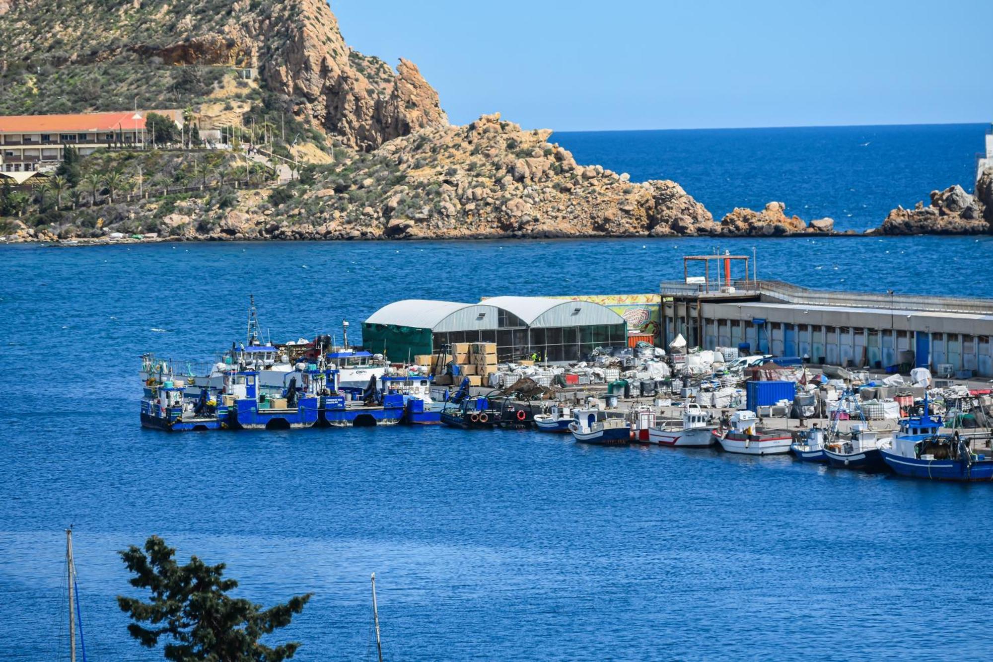 Dream View Aguilas - By Aloha Palma 외부 사진